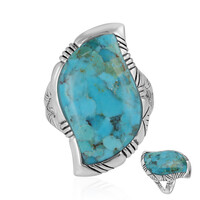 Anillo en plata con Turquesa (Art of Nature)