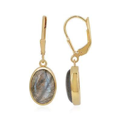 Pendientes en plata con Labradorita