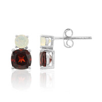 Pendientes en plata con Granate