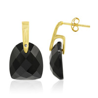 Pendientes en plata con Ónix negro