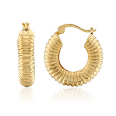 Pendientes en plata