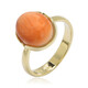 Anillo en plata con Ostra espinosa naranja