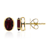 Pendientes en oro con Rubelita (Tenner Diniz)