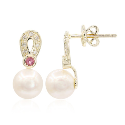 Pendientes en oro con Perla de Akoya (TPC)