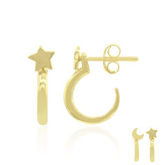 Pendientes en plata
