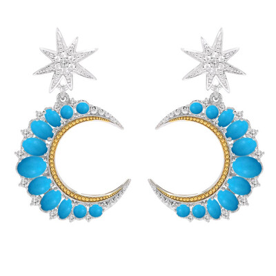 Pendientes en plata con Turquesa bella durmiente (Dallas Prince Designs)
