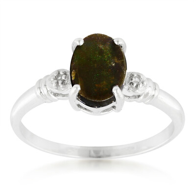 Anillo en plata con Ammolita