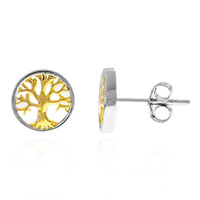 Pendientes en plata