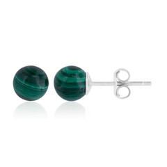 Pendientes en plata con Malaquita