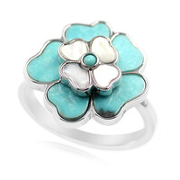 Anillo en plata con Campitos turquesas (Anne Bever)