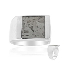 Anillo en plata con Meteorito Aletai