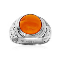 Anillo en plata con Cornalina (CUSTODANA)