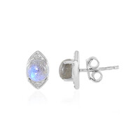 Pendientes en plata con Labradorita