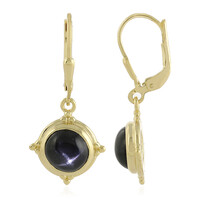 Pendientes en plata con Diópsido estrella de la India