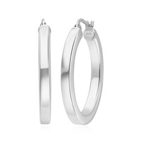 Pendientes en plata