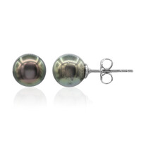 Pendientes en plata con Perla cultivada de Tahití (TPC)