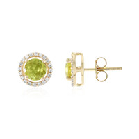 Pendientes en oro con Esfena