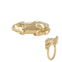 Anillo en plata