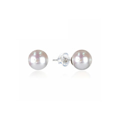Pendientes en plata con Perla Freshwater