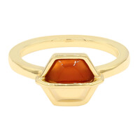 Anillo en plata con Cornalina