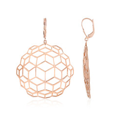 Pendientes en plata (SAELOCANA)