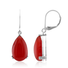 Pendientes en plata con Ágata roja