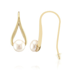 Pendientes en plata con Perla blanca Freshwater (TPC)