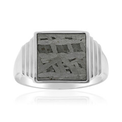 Anillo en plata con Meteorito Aletai