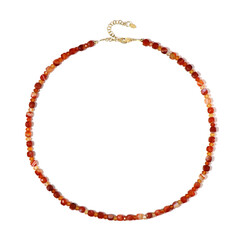 Collar en plata con Ágata roja