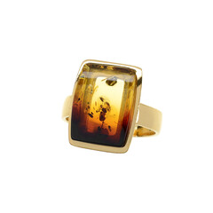 Anillo en plata con Ámbar báltico