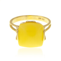 Anillo en oro con Ámbar báltico