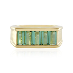 Anillo en plata con Turmalina verde Benedito(Adela Silber)