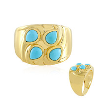 Anillo en plata con Turquesa bella durmiente