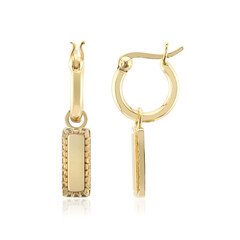Pendientes en plata
