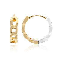 Pendientes en plata