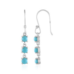 Pendientes en plata con Turquesa bella durmiente