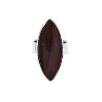 Anillo en plata con Madera de palma petrificada
