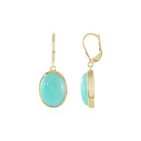Pendientes en plata con Amazonita