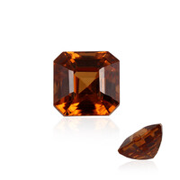 Piedra preciosa con Zircón cognac
