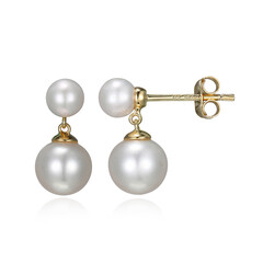 Pendientes en plata con Perla Freshwater