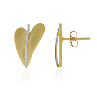Pendientes en plata