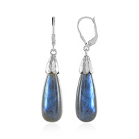 Pendientes en plata con Labradorita
