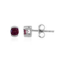Pendientes en plata con Rodolita