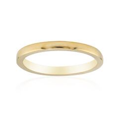 Anillo en plata