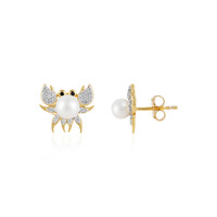 Pendientes en plata con Perla Freshwater