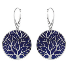Pendientes en plata