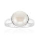Anillo en plata con Perla blanca Freshwater (Michelle Albala)