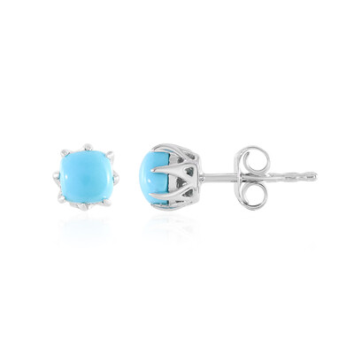 Pendientes en plata con Turquesa bella durmiente