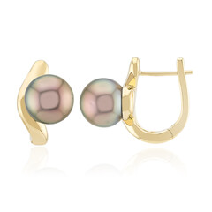 Pendientes en oro con Perla cultivada de Tahití (Michelle Albala)