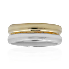 Anillo en plata